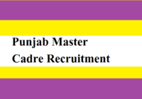 Punjab Master Cadre Recruitment