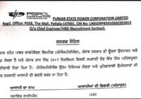 Punjab Lineman Recruitment