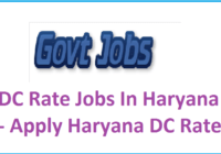 DC Rate Jobs In Haryana